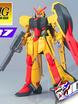 HG MURASAME (ANDOREW WALDFELD CUSTOM)