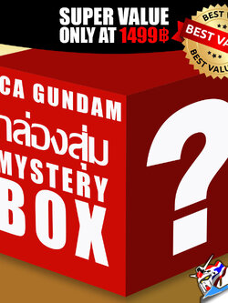 VCA MYSTERY BOX 1499