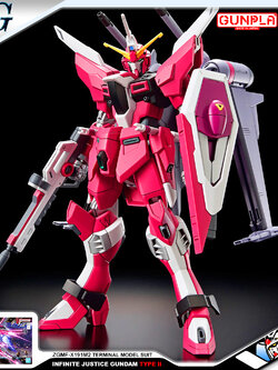 HG INFINITE JUSTICE GUNDAM TYPE II