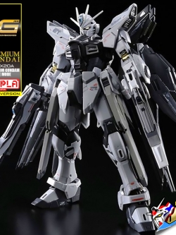 RG STRIKE FREEDOM GUNDAM (DEACTIVE MODE)