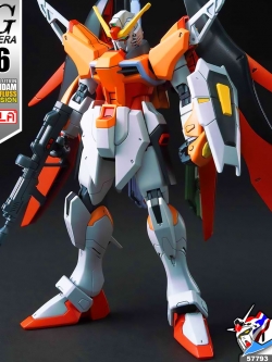 HG DESTINY GUNDAM (HEINE WESTENFLUSS CUSTOM)