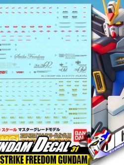 GD31 | MG ZGMF-X20A STRIKE FREEDOM GUNDAM