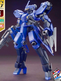 HG MCGILLIS'S SCHWALBE GRAZE