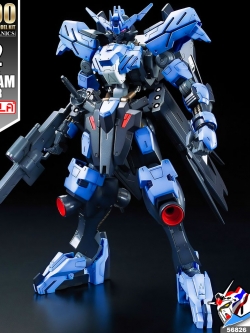 1/100 GUNDAM VIDAR