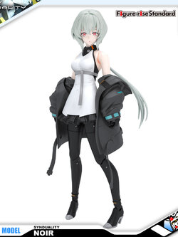 Figure-rise Standard NOIR