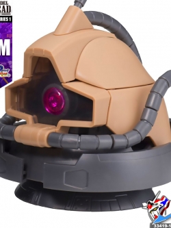 EMDH1 YMS-09D DOM TROPICAL TEST TYPE