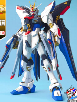 MG STRIKE FREEDOM GUNDAM