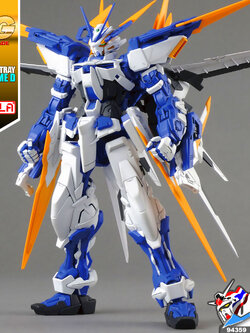 MG GUNDAM ASTRAY BLUE FRAME D