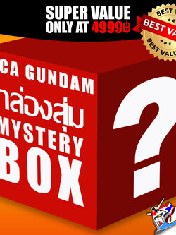 VCA MYSTERY BOX 4999