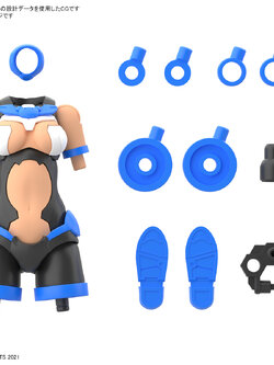 30MS OPTION BODY PARTS TYPE A03 (COLOR C)