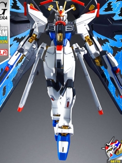 HG STRIKE FREEDOM GUNDAM WINGS OF LIGHT DX EDITION