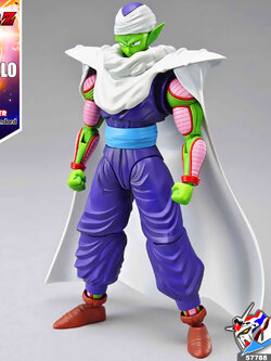 FRS PICCOLO