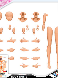 30MS OPTION BODY PARTS ARM PARTS & LEG PARTS (COLOR C)