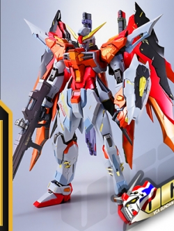 ★ PB ★ MB DESTINY GUNDAM (HEINE WESTENFLUSS CUSTOM)