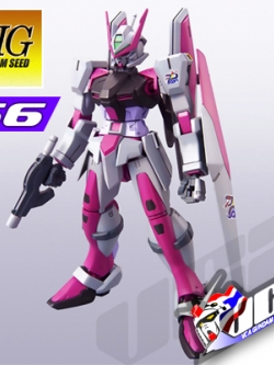 HG ARMS ASTRAY PMC CUSTOM