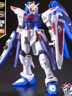 RG FREEDOM GUNDAM