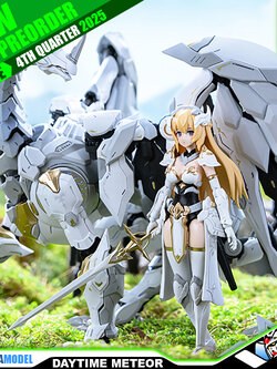 【🟢𝐏𝐑𝐄𝐎𝐑𝐃𝐄𝐑 Q4-2025】 DAYTIME METEOR