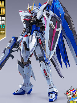 METAL BUILD FREEDOM GUNDAM (CONCEPT 2)