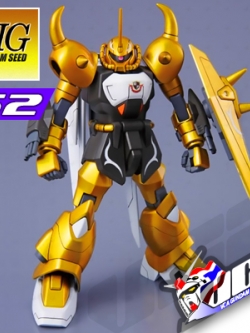 HG GOUF IGNITED (RODOLF'S CUSTOM)