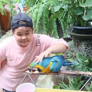 แนะนำสถานที่ท่องเที่่ยว