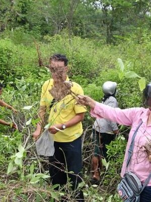 อังกาบหนู กิน อย่างไร ?