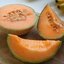 เมล่อนไอโรกัว เนื้อส้ม Melon iroquois 30 เมล็ด