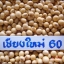 เมล็ดพันธุ์ถั่วเหลืองพันธุ์เชียงใหม่ 60