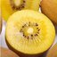 เมล็ดพันธุ์กีวีสีเหลือง Yellow Kiwi 10 เมล็ด