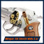 ปืนอัดแก๊ส Wingun รุ่น 731 Sheriff M36 2.5" สีเงิน ด้ามน้ำตาล (CO2 System)