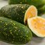 แตงโม มูน สตาร์ (ผิวจุดเนื้อเหลือง) Moon star watermelon 10 เมล็ด