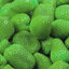 สตรอเบอรี่สีเขียว green strawberry 30 เมล็ด