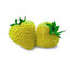 สตรอเบอรี่สีเหลือง Yellow Strawberry 30 เมล็ด