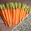เมล็ดแครอทสีส้ม Tender Sweet Carrot 200 เมล็ด