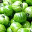 มะเขือเทศ พันธุ์กรีน ซีบร้า Green Zebra tomato 10 เมล็ด