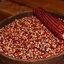 ข้าวโพดรูบี้ เรด Ruby Red corn 20 เมล็ด