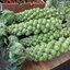กะหล่ำดาว สีเขียว Green Brussels Sprout 100 เมล็ด