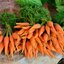 เมล็ดพันธุ์เบบี้ แครอท baby carrot 200 เมล็ด