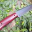 มีดพกสั่น ALONZO KNIVES USA CUSTOM HANDMADE TANTO POWDER COATED 1095 STEEL KNIFE 293