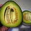 เมล่อนเนื้อเขียว กรีน นัทแมก Melon Green Nutmeg 10 เมล็ด