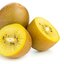 เมล็ดพันธุ์กีวีสีเหลือง Yellow Kiwi 10 เมล็ด