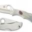 Spyderco Ladybug Tattoo Plain Edge Knife - LSSP3T