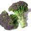 เมล็ดพันธุ์บร็อคโคลี่ Purple Broccoli 100 เมล็ด