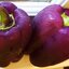 พริกหวานรวม 5 สี เขียว,แดง,เหลือง,ส้ม,ม่วง 20-25 เมล็ด (ชุดเล็ก)