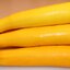 เมล็ดพันธุ์ซูกินี สีเหลือง (Yellow zucchini) 12 เมล็ด