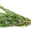 ผงโรสแมรี่ 100% ( Rosemary powder )
