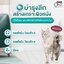 อาหารแมวเปียก Purina ONE 70g x 12