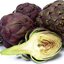 หัวปลีฝรั่ง หรือ อะติโช๊ค สีม่วง Artichoke - Violet Globe 10 เมล็ด