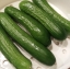 แตงกวาญี่ปุ่น Japanese Cucumber Suhyo 20 เมล็ด