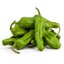 พริกกะจู๋ญี่ปุ่นเขียว Shishito Green Pepper ชุดละ 10 เมล็ด