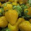 สตรอเบอรี่สีเหลือง Yellow Strawberry 30 เมล็ด